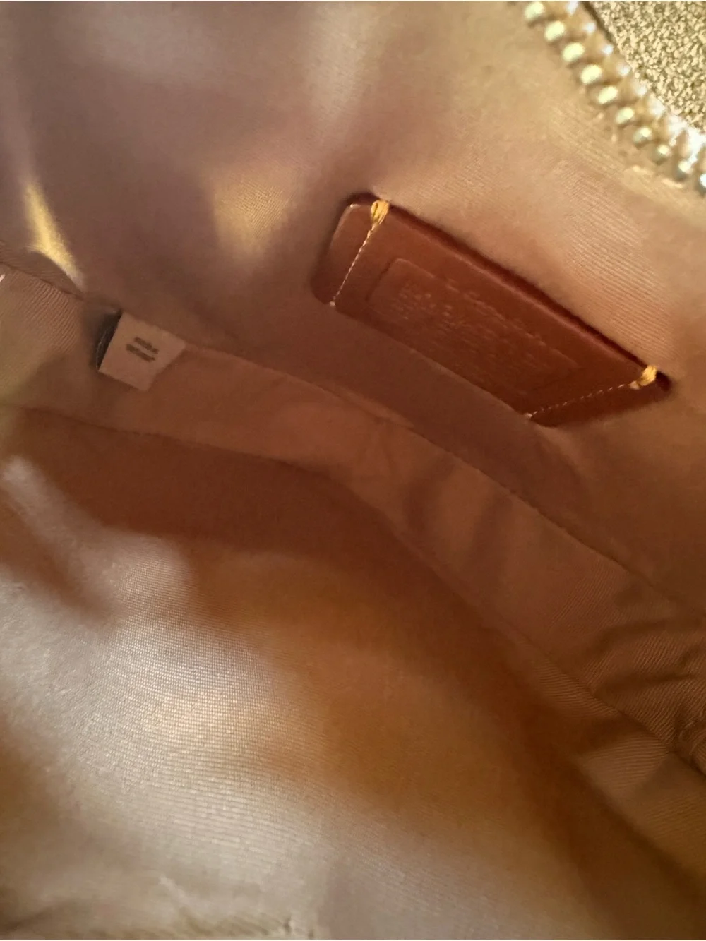 Coach Heart Cherry Print Crossbody Bag